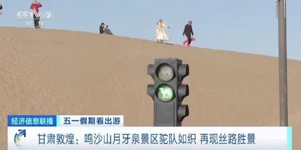敦煌“堵骆驼”了！“红骆驼停，绿骆驼行”……