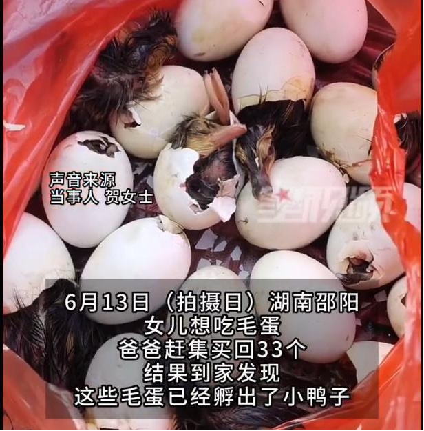 微信图片_20230615151102.png