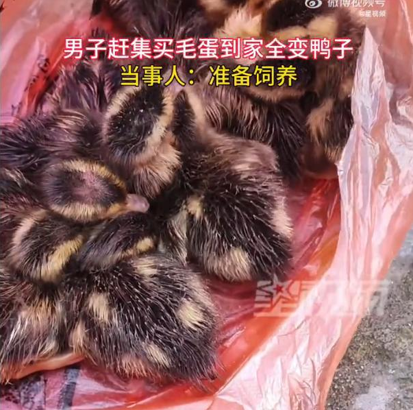 微信图片_20230615151109.png